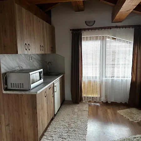 בית הארחה Snow House בנסקו