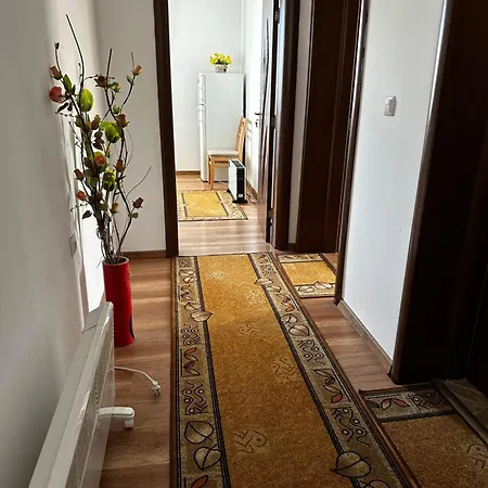 Snow House * בנסקו