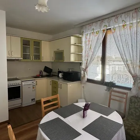 Snow House בית הארחה בנסקו