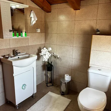 בית הארחה Snow House