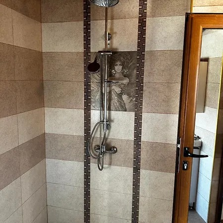 בית הארחה Snow House בנסקו