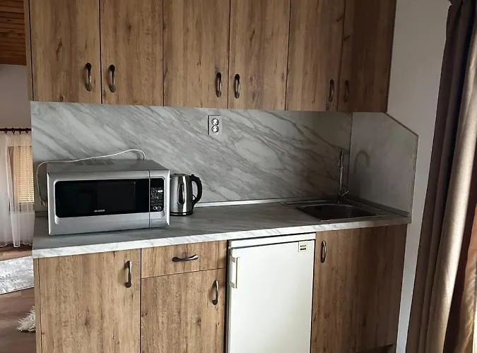 Snow House בית הארחה בנסקו