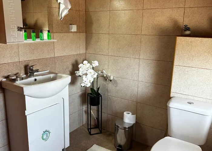 בית הארחה Snow House