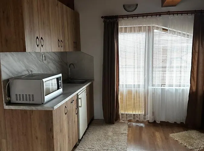 Pensiune Snow House Bansko